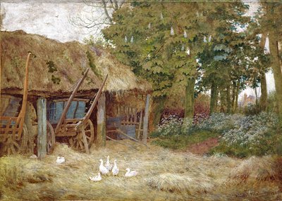 Enten, 1880 von Wilmot Pilsbury